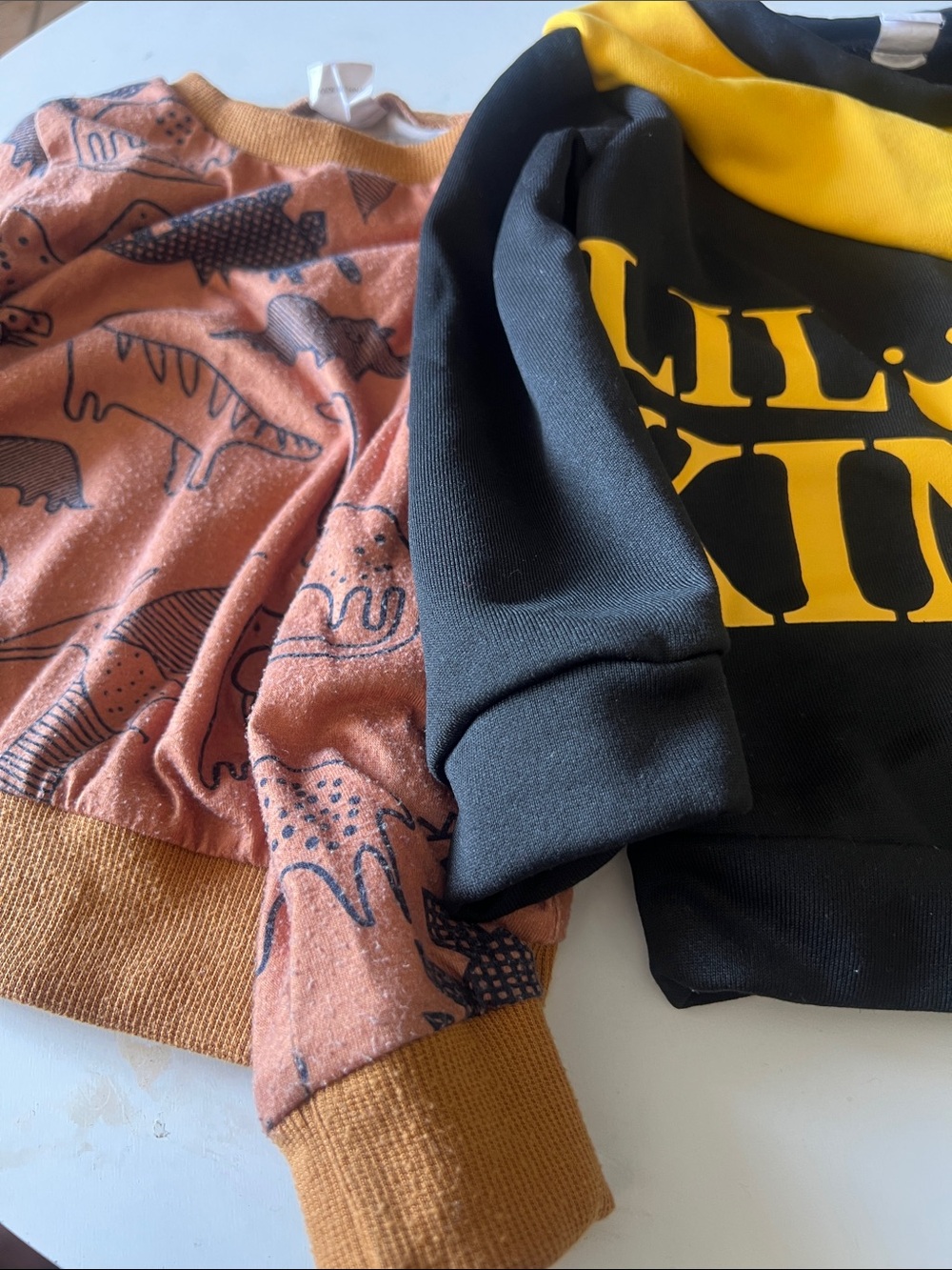Kids Crewneck Sweatshirt - Pinkish Rust Dinosaur Print & Black/Yellow Graphic